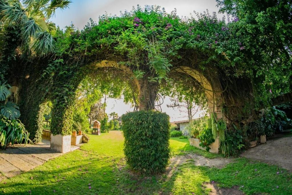 Finca San Javier El Arenal  Экстерьер фото